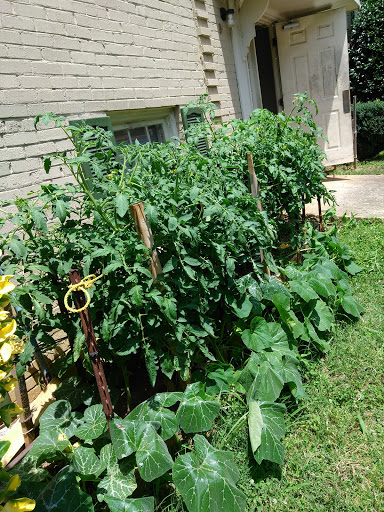 Auto Parts Store «AutoZone», reviews and photos, 6260 South Blvd, Charlotte, NC 28217, USA