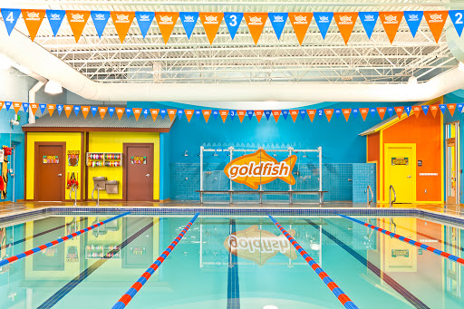 Goldfish Swim School - Falls Church