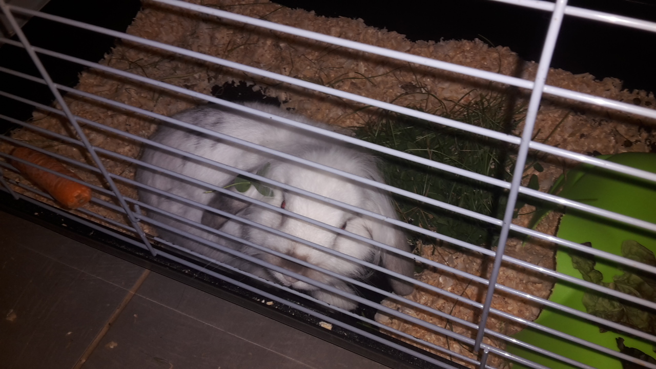 Photo n° 1 de l'avis de Isa.a fait le 01/07/2018 à 22:34