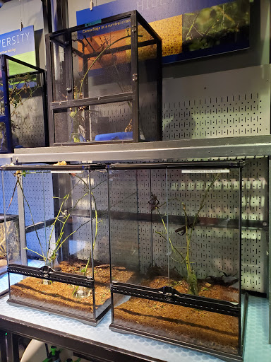 Science Museum «Discovery Place Science», reviews and photos, 301 N Tryon St, Charlotte, NC 28202, USA