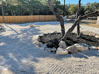 Get-it lawn & landscaping - Photo 6 - Car repair in Corpus Christi, TX, Corpus Christi