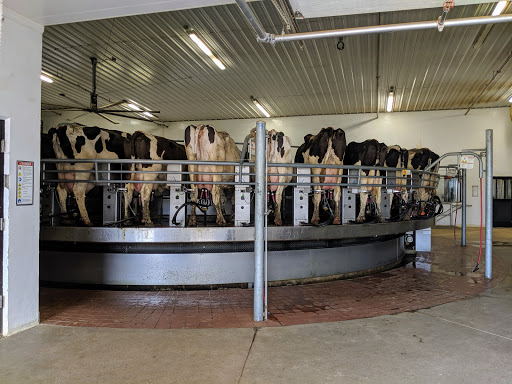 Morning Fresh Dairy Farm