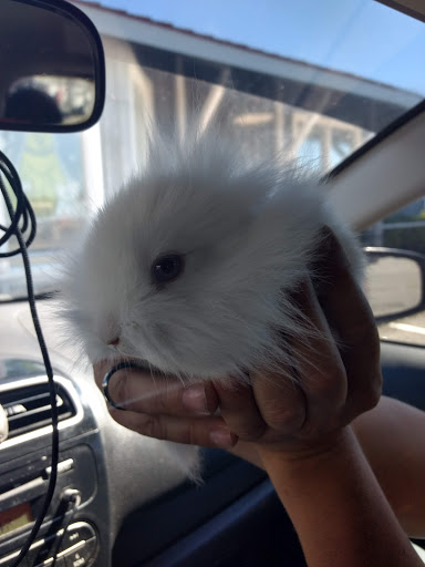 Pet Supply Store «Coastline Pet Supply», reviews and photos, 3530 Northgate Dr, Myrtle Beach, SC 29588, USA