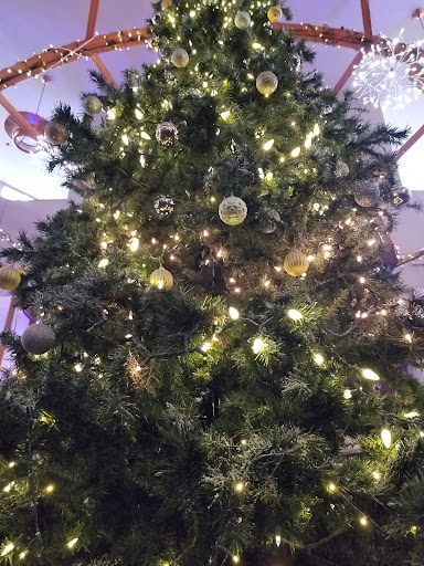 Coffee Shop «Bisbee Coffee Company», reviews and photos, 2 Main St, Bisbee, AZ 85603, USA