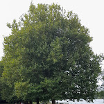 Photo n° 7 de l'avis de Cortex.s fait le 22/08/2023 à 16:08 pour Espace de loisirs du Lac de Chassenon à Xanton-Chassenon