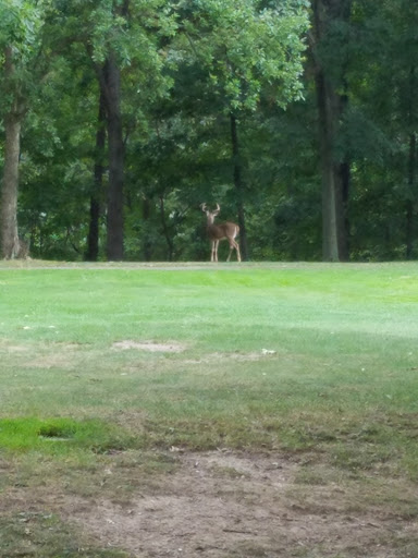 Golf Course «Ridgewood Golf Course», reviews and photos, 6505 Ridge Rd, Cleveland, OH 44129, USA