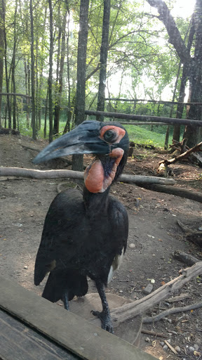 Golf Course «Binder Park Golf Course», reviews and photos, 7255 B Dr S, Battle Creek, MI 49014, USA