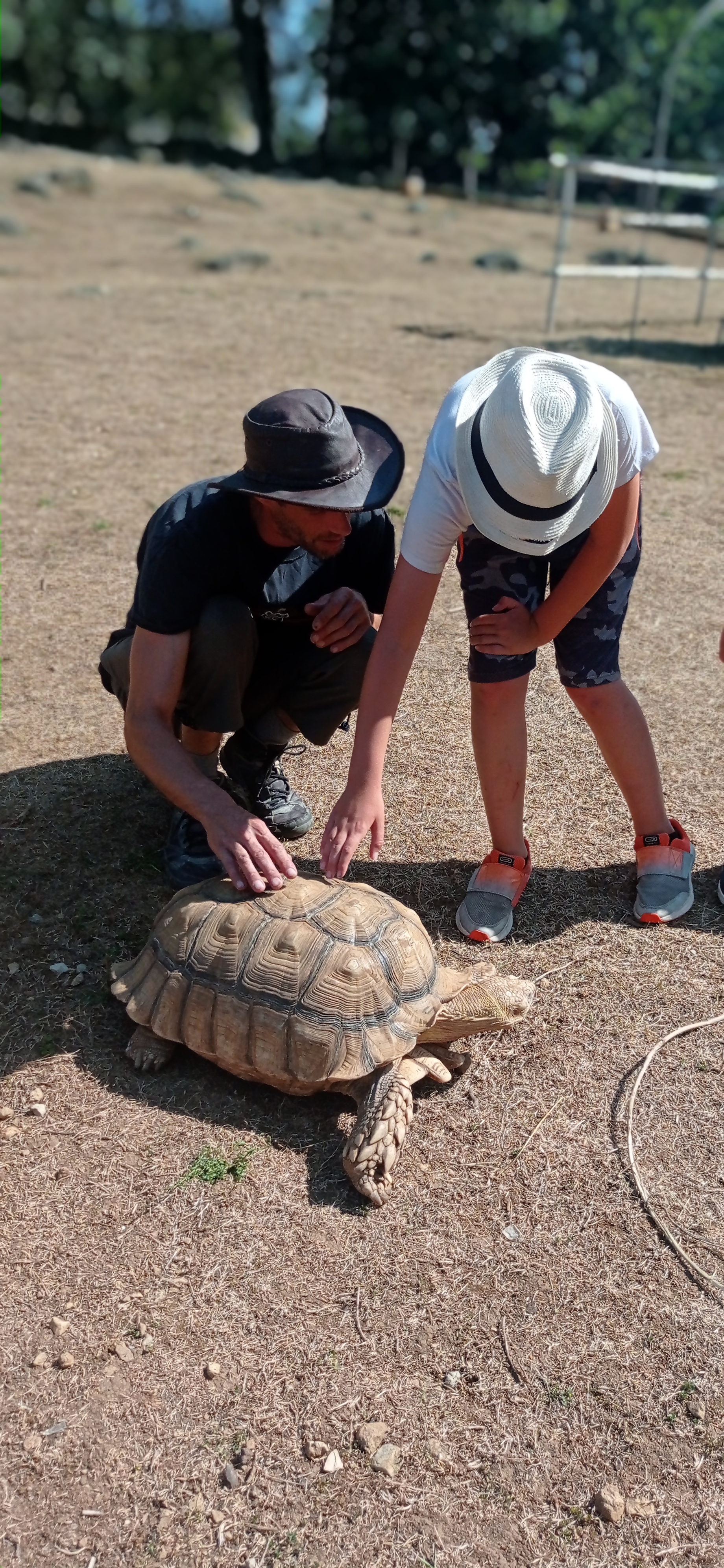 Photo n° 3 de l'avis de didou.r fait le 08/08/2022 à 09:17