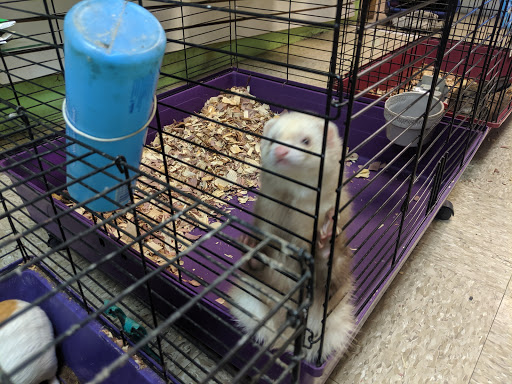 Tropical Fish Store «Caribbean Pets», reviews and photos, 298 Central Ave, Jersey City, NJ 07307, USA