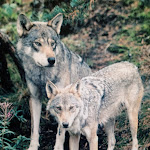 Photo n°14 de l'avis de Mama.s fait le 14/09/2021 à 18:37 sur le  Erlichthof Familie Jagiela Forsthaus - Scheunencafé - Ferienwohnungen à Rietschen