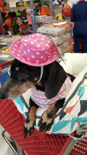 Pet Supply Store «Petco Animal Supplies», reviews and photos, 390 East 525 North, Harrisville, UT 84404, USA