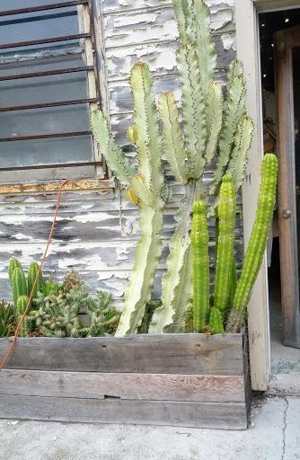 Gift Shop «GENERAL STORE», reviews and photos, 4035 Judah St, San Francisco, CA 94122, USA