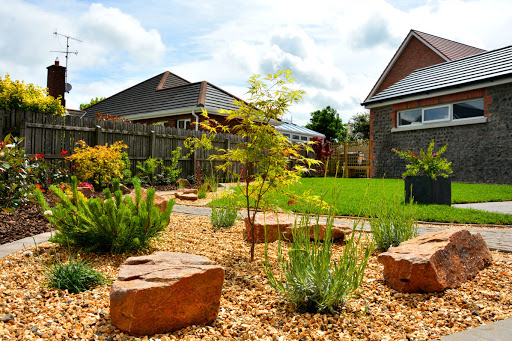 Neil McIntosh Landscapes