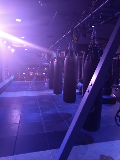 Gym «TMPL Gym», reviews and photos, 355 W 49th St, New York, NY 10019, USA