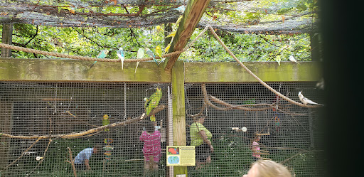 Zoo «Washington Park Zoo», reviews and photos, 115 Lake Shore Dr, Michigan City, IN 46360, USA