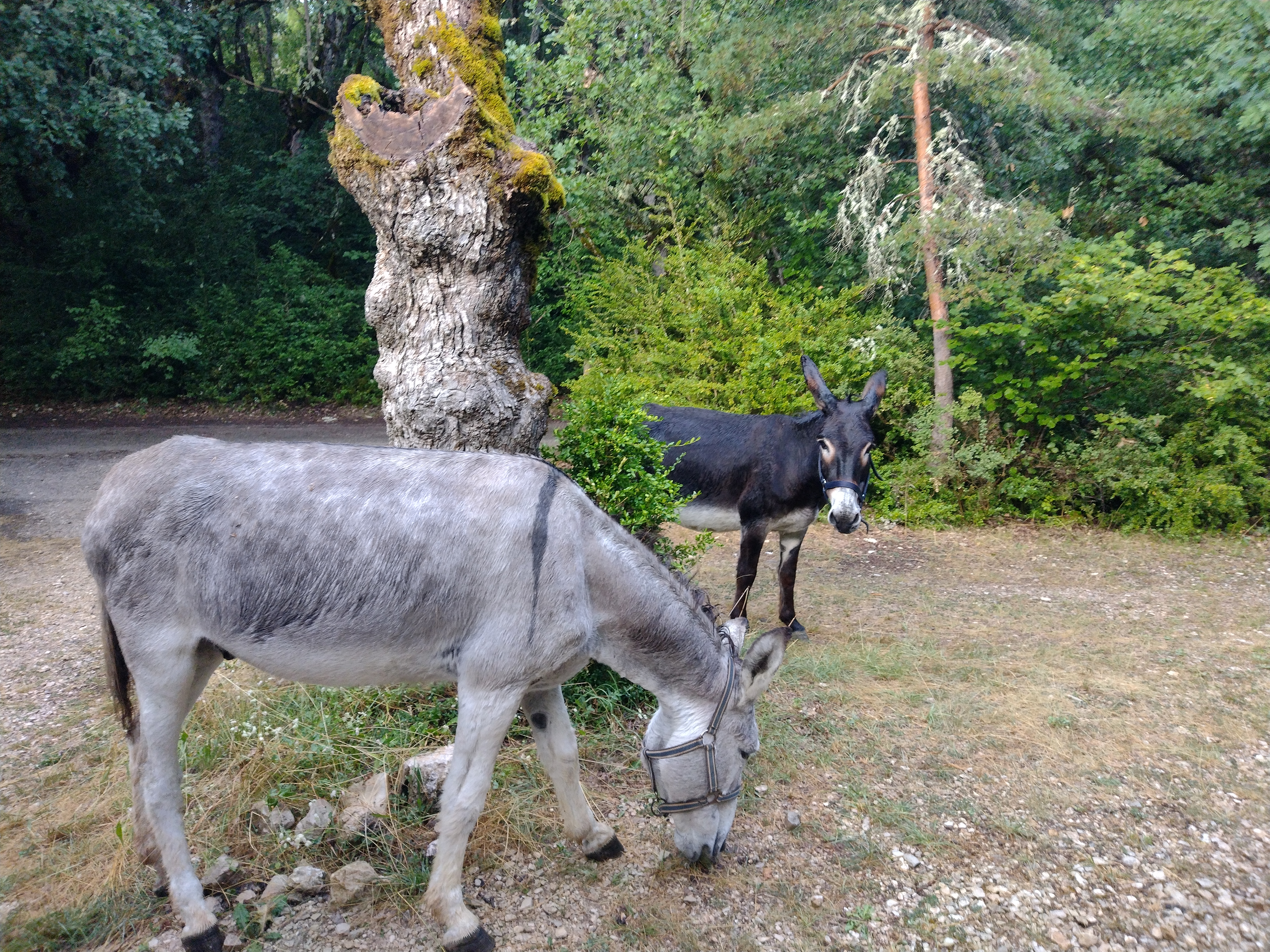 Photo n° 4 de l'avis de Fabien.a fait le 14/08/2023 à 15:48