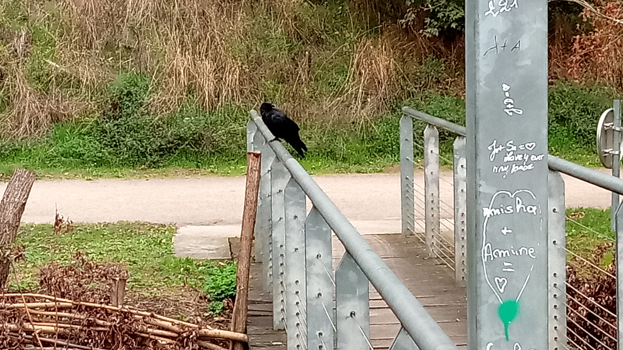 Photo n° 2 de l'avis de Arnaud.N fait le 19/05/2019 à 09:20