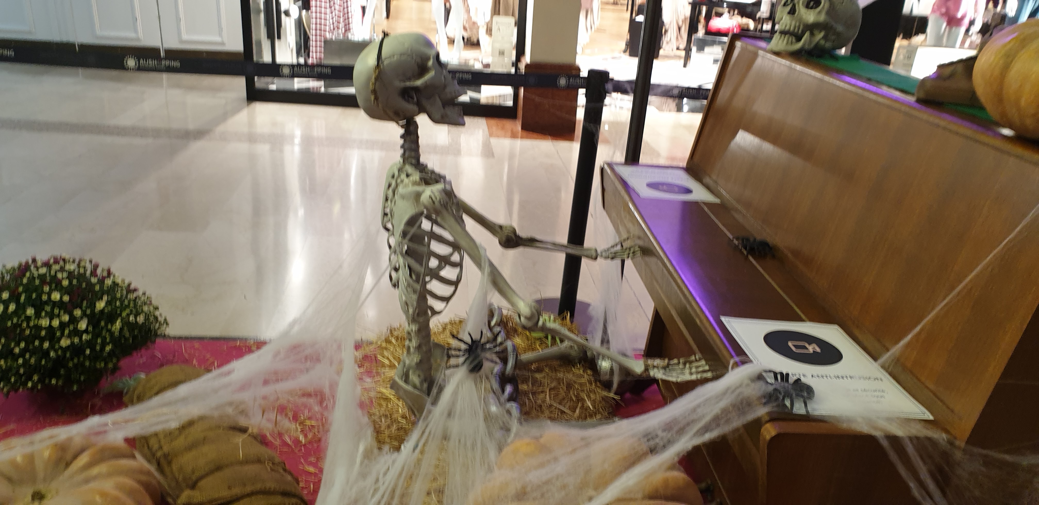 Photo n° 2 de l'avis de Joelle.e fait le 25/10/2022 à 17:24