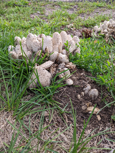 Park «Matthews Park», reviews and photos, 2318 29th Ave S, Minneapolis, MN 55406, USA