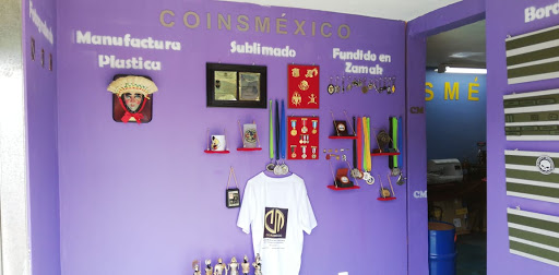 coinsmexico.com.mx