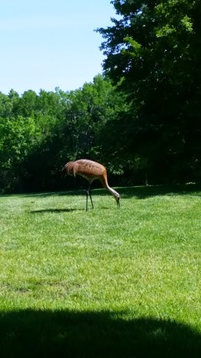 Golf Course «Elbel Golf Course», reviews and photos, 26595 Auten Rd, South Bend, IN 46628, USA