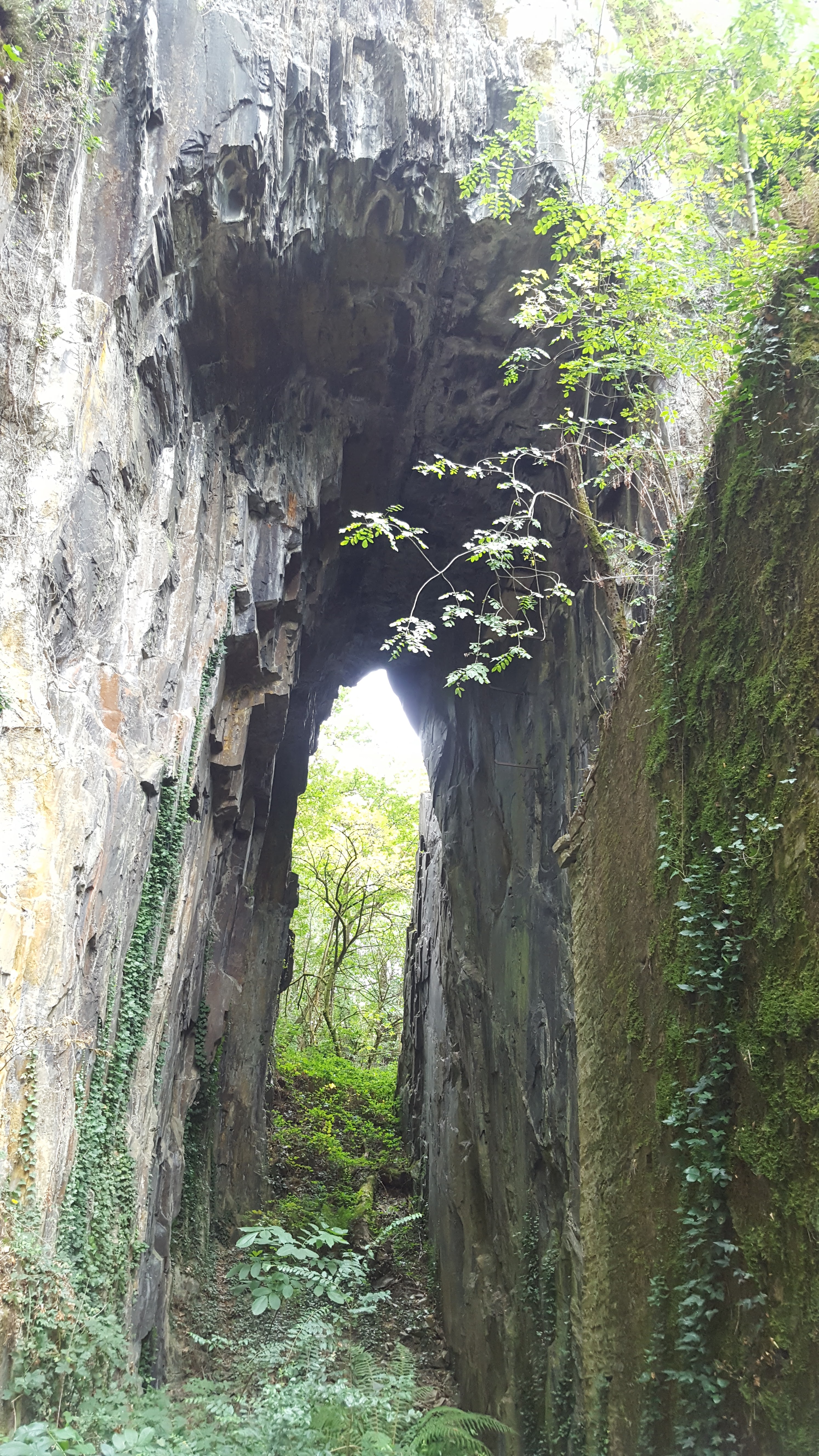 Photo n° 1 de l'avis de Chris.e fait le 01/09/2018 à 19:30