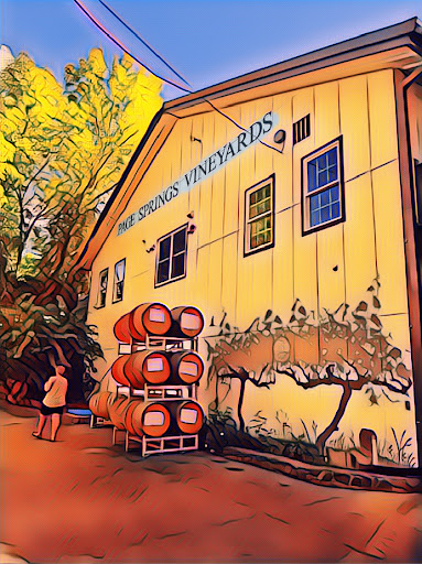 Vineyard «Page Springs Cellars», reviews and photos, 1500 N Page Springs Rd, Cornville, AZ 86325, USA