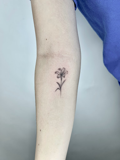 Explore weeping willow tattoo ideas, creative tattoo ideas in San Jose, available at Ants Tattoo San Jose