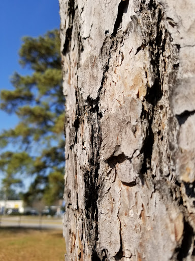 Park «Matzke Park», reviews and photos, 13110 Jones Rd, Houston, TX 77070, USA