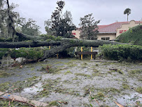 Absolute Quality Landscaping - Photo 7 - Car repair in , Deltona