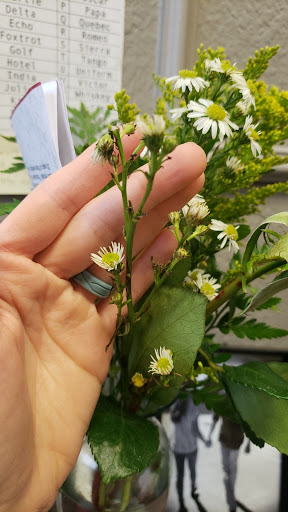 Florist «Flower Center», reviews and photos, 5659 Alpha Rd, Dallas, TX 75240, USA