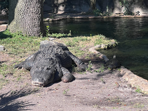 Tourist Attraction «Black Bear Wilderness Trailhead», reviews and photos, 5298 Michigan Ave, Sanford, FL 32771, USA