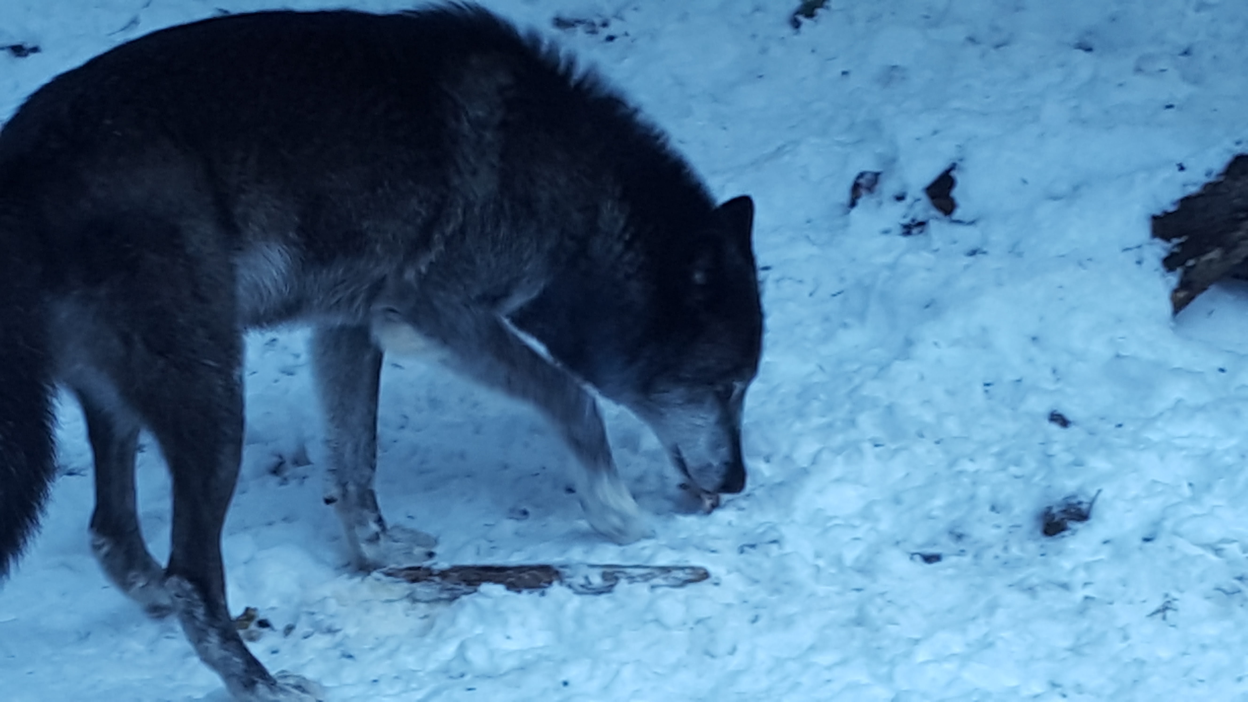 Photo n° 11 de l'avis de Pacôme.l fait le 16/01/2017 à 15:09