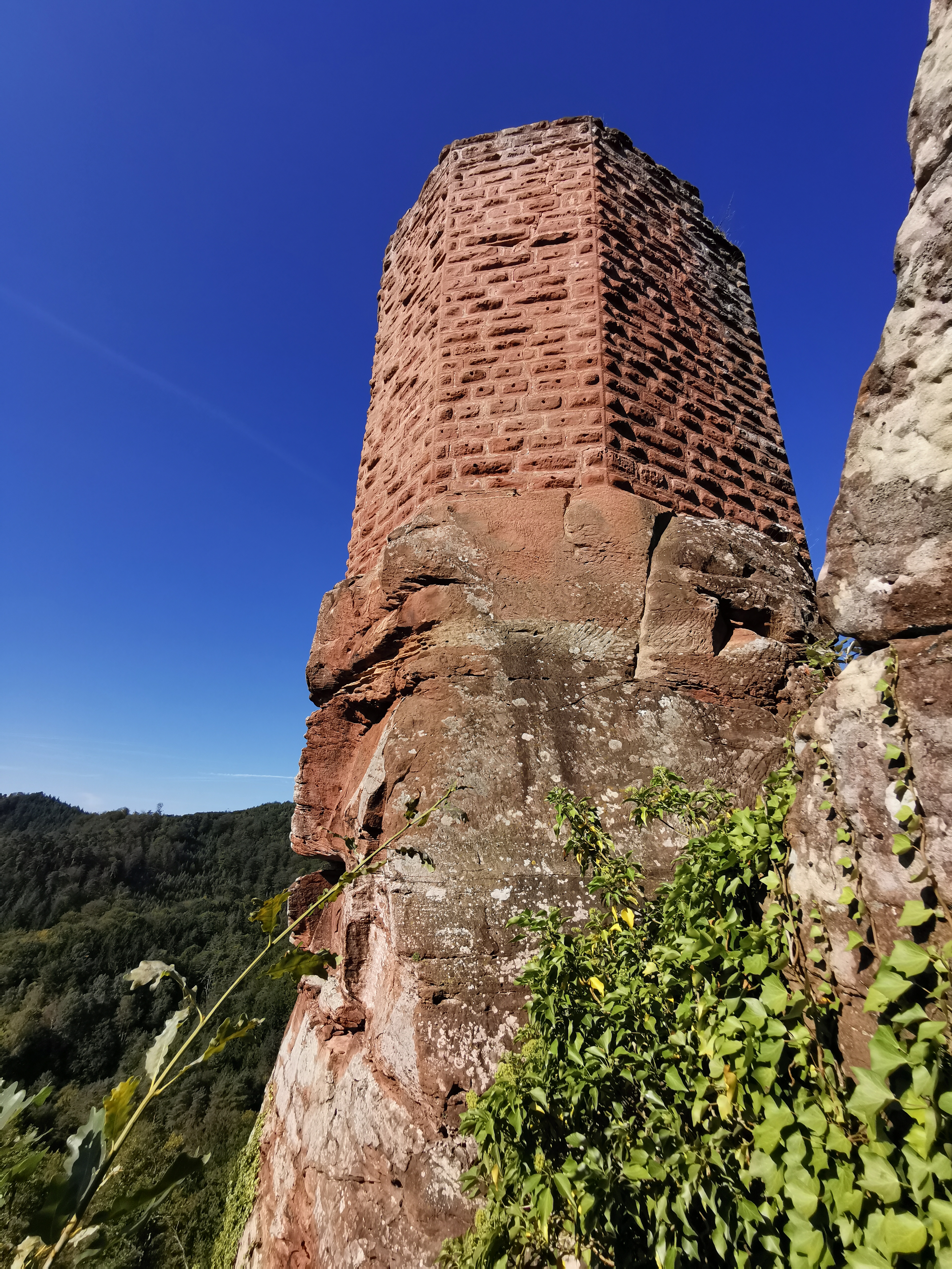 Photo n° 5 de l'avis de Uwe.c fait le 18/09/2021 à 19:30