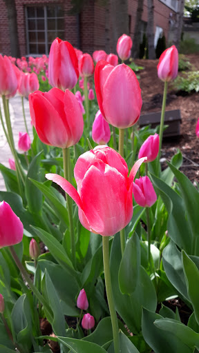 Golf Course «The Glen Club», reviews and photos, 2901 W Lake Ave, Glenview, IL 60026, USA