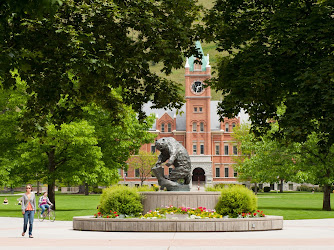 University of Montana