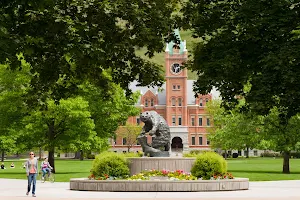 University of Montana image