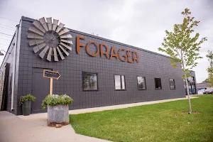 Forager Brewery and Cafe image