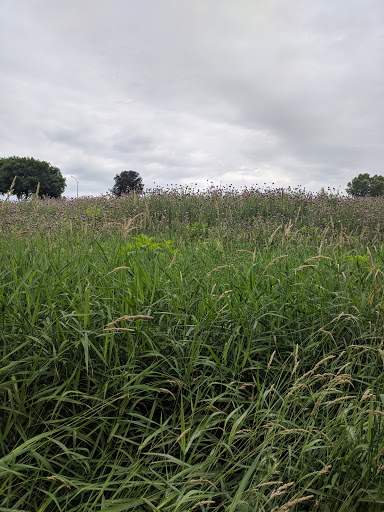 Park «Centennial Park», reviews and photos, 7800 W 171st St, Tinley Park, IL 60487, USA