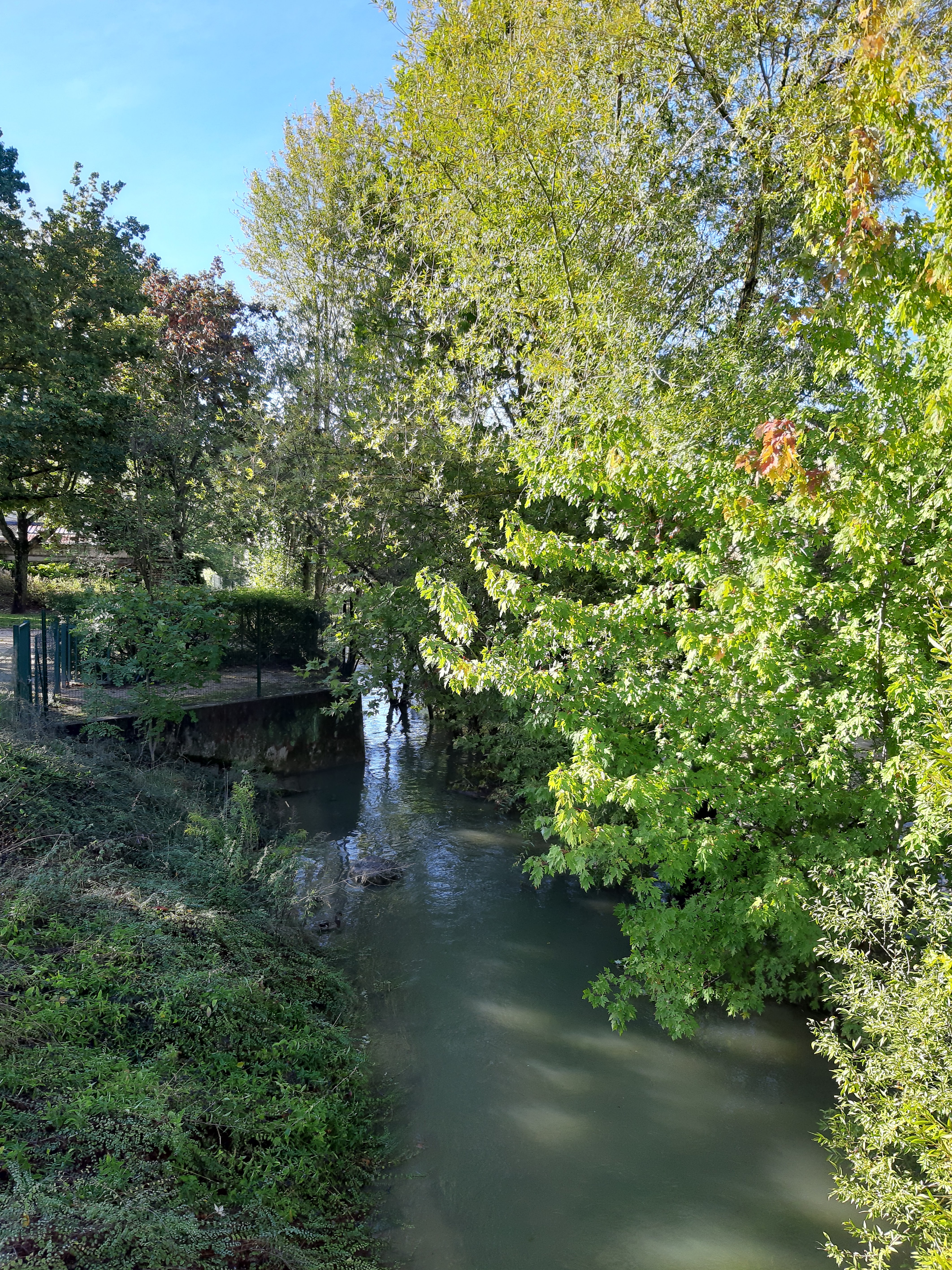 Photo n° 6 de l'avis de Marie.e fait le 04/10/2020 à 17:04