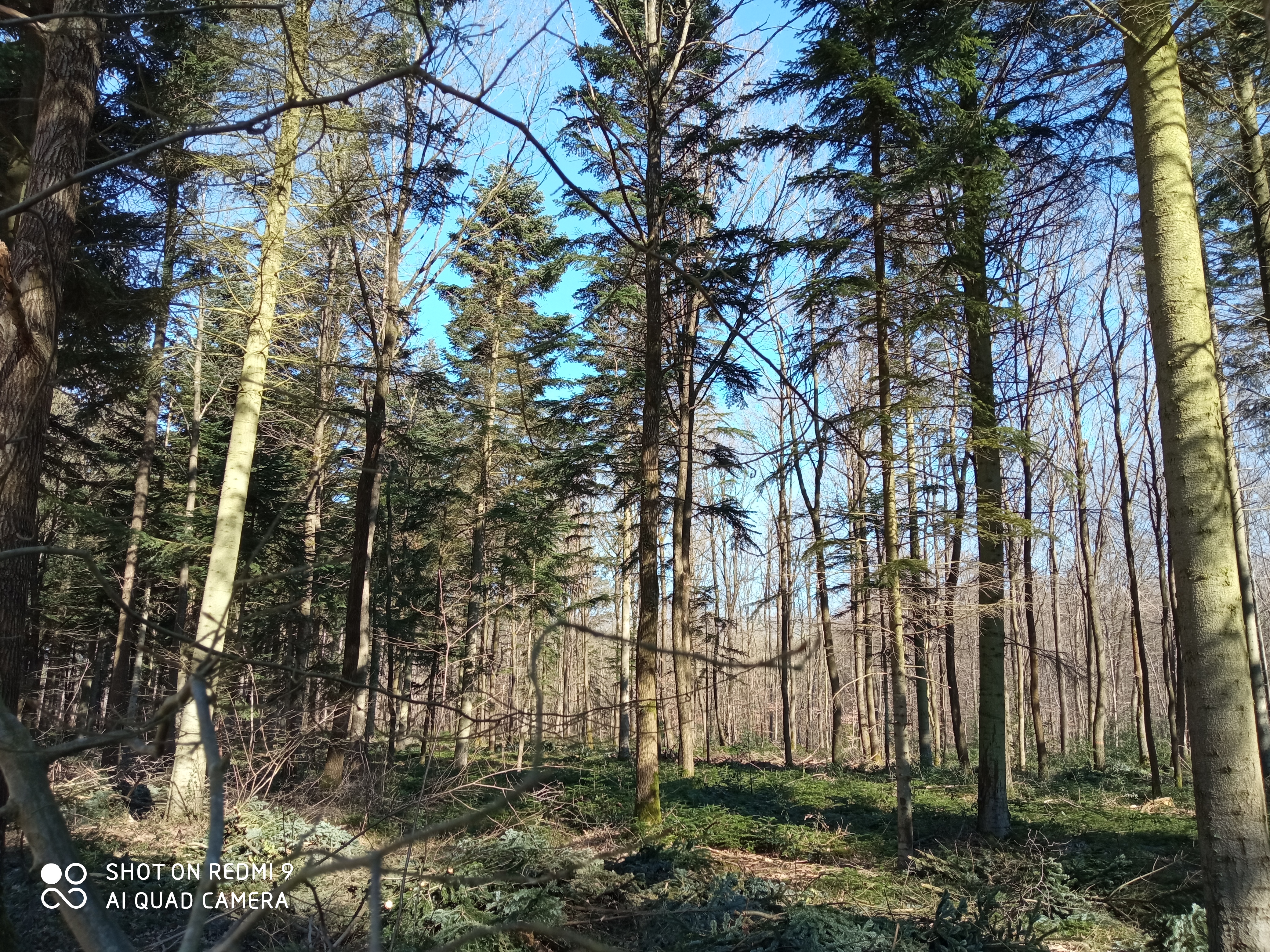 Photo n° 5 de l'avis de marieFrancois.y fait le 28/02/2021 à 14:41