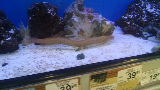 Pet Supply Store «Petco Animal Supplies», reviews and photos, 11331 W Broad St #151, Glen Allen, VA 23060, USA