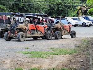Carabal Rainforest Park - photo 14