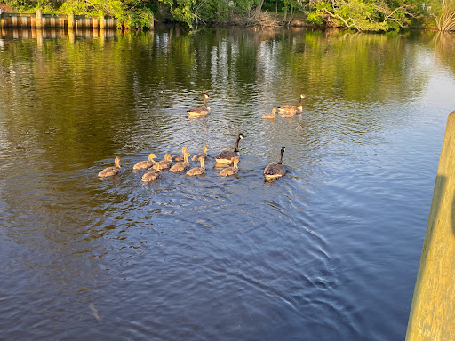 Home Improvement Store «The Home Depot», reviews and photos, 1550 Old Country Rd, Riverhead, NY 11901, USA