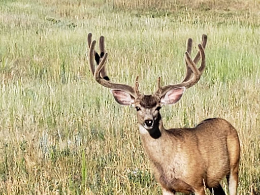 Golf Course «The Pinery Country Club», reviews and photos, 6900 N Pinery Pkwy, Parker, CO 80134, USA