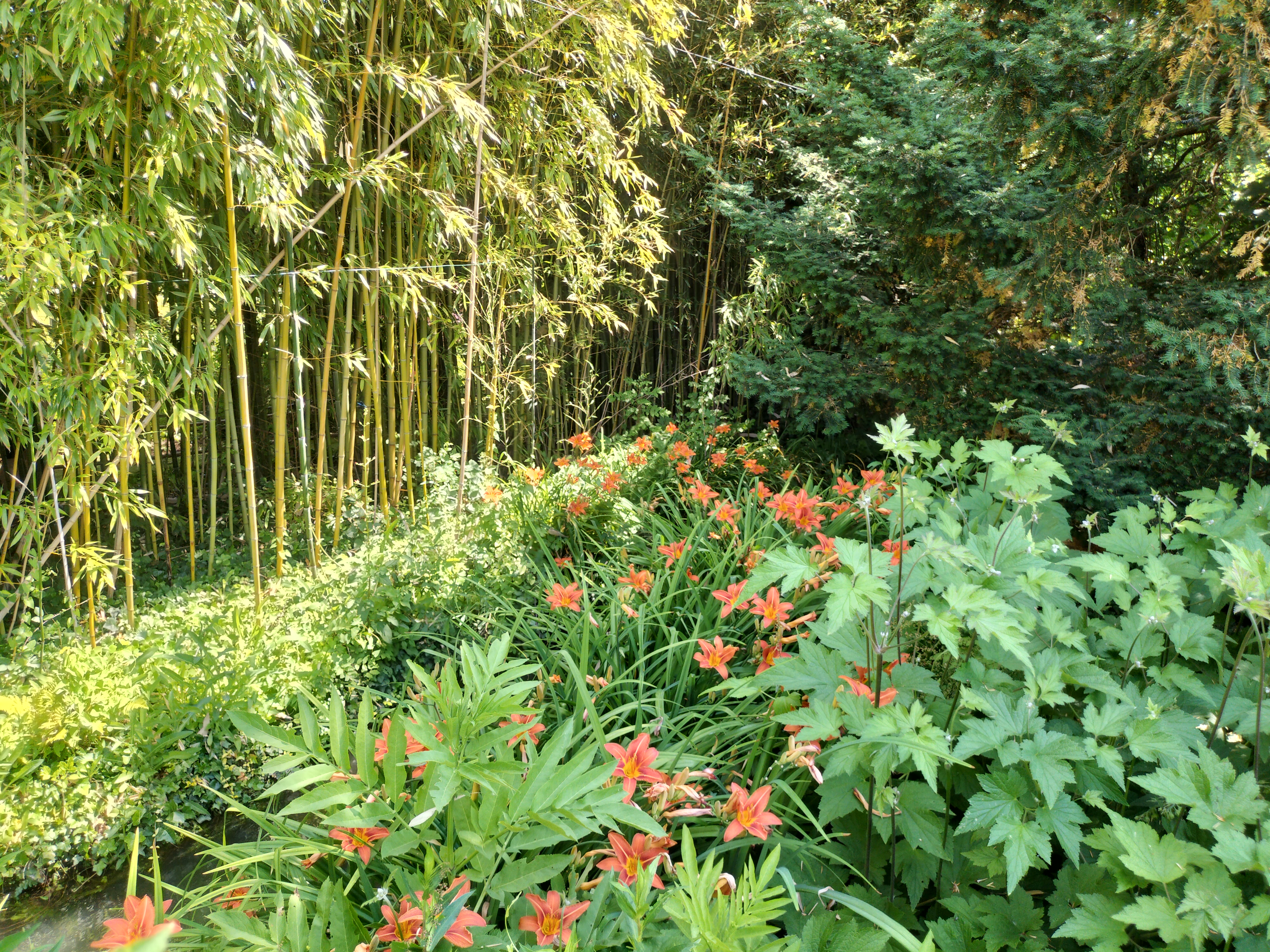 Photo n° 40 de l'avis de didier.e fait le 15/06/2023 à 13:38