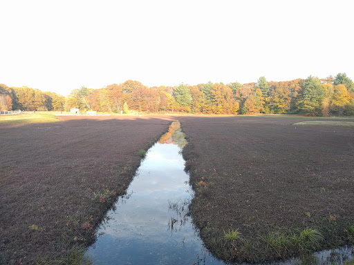Nature Preserve «The Nature Trail and Cranberry Bog», reviews and photos, 252 Patriot Pl, Foxborough, MA 02035, USA