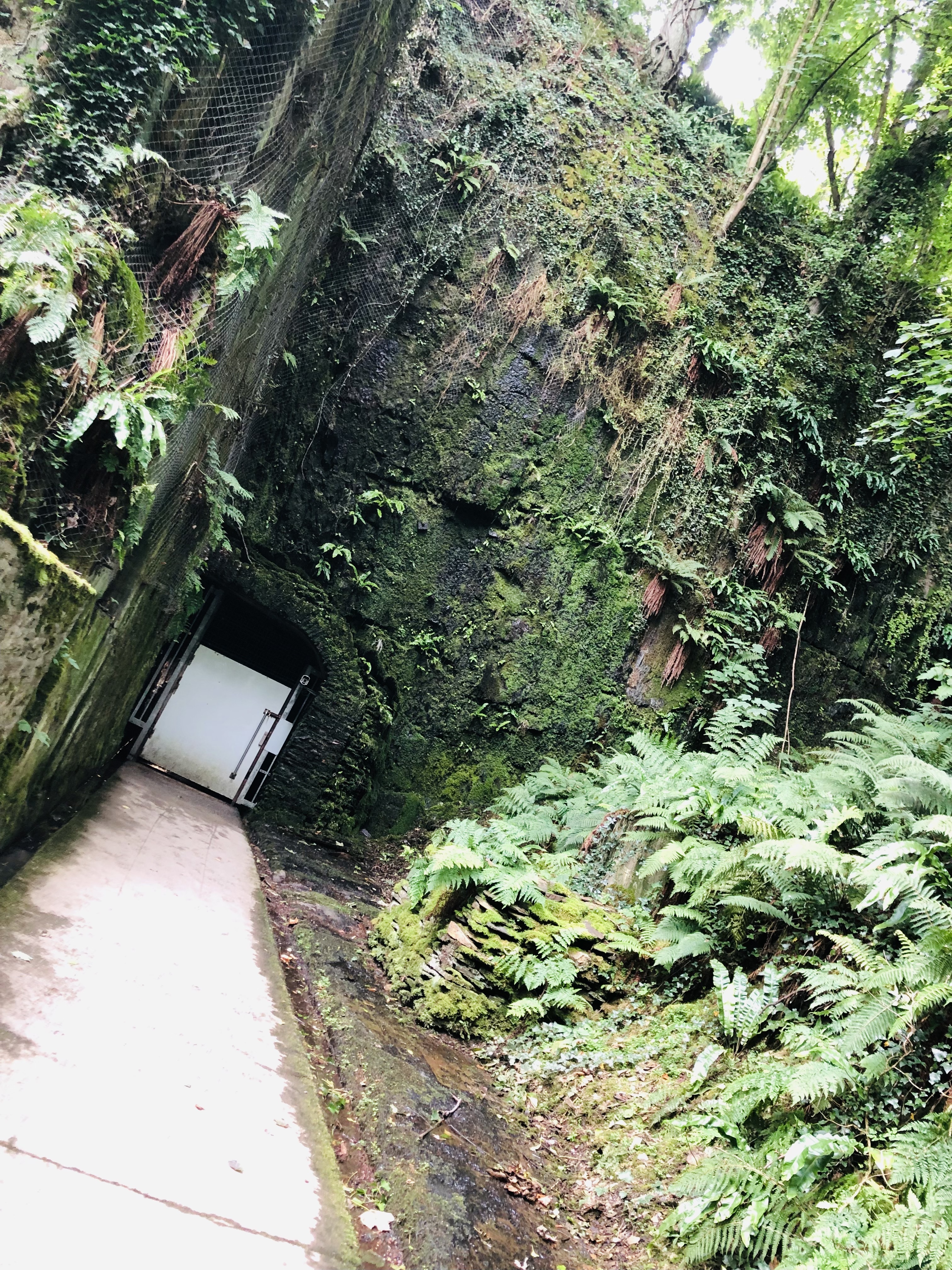 Photo n° 6 de l'avis de Clémentine.O fait le 21/08/2021 à 16:38