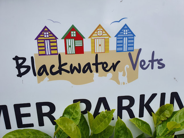 Reviews of Blackwater Vets in Colchester - Veterinarian