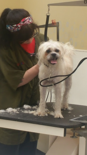 Pet Supply Store «Petco Animal Supplies», reviews and photos, 10383 Reisterstown Rd, Owings Mills, MD 21117, USA